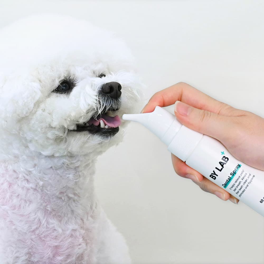 바이랩 덴탈 스프레이 강아지 구강 입냄새 치석 제거 60ml 가격 비교 BYLAB 바이랩 덴탈 스프레이 강아지 구강 입냄새 치석 제거 60ml