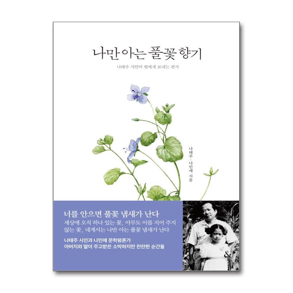 나만 아는 풀꽃 향기 - 나태주 시인이 딸에게 보내는 편지 가격 추이 웅진북센 나만 아는 풀꽃 향기 - 나태주 시인이 딸에게 보내는 편지 - 최저가 19,800원