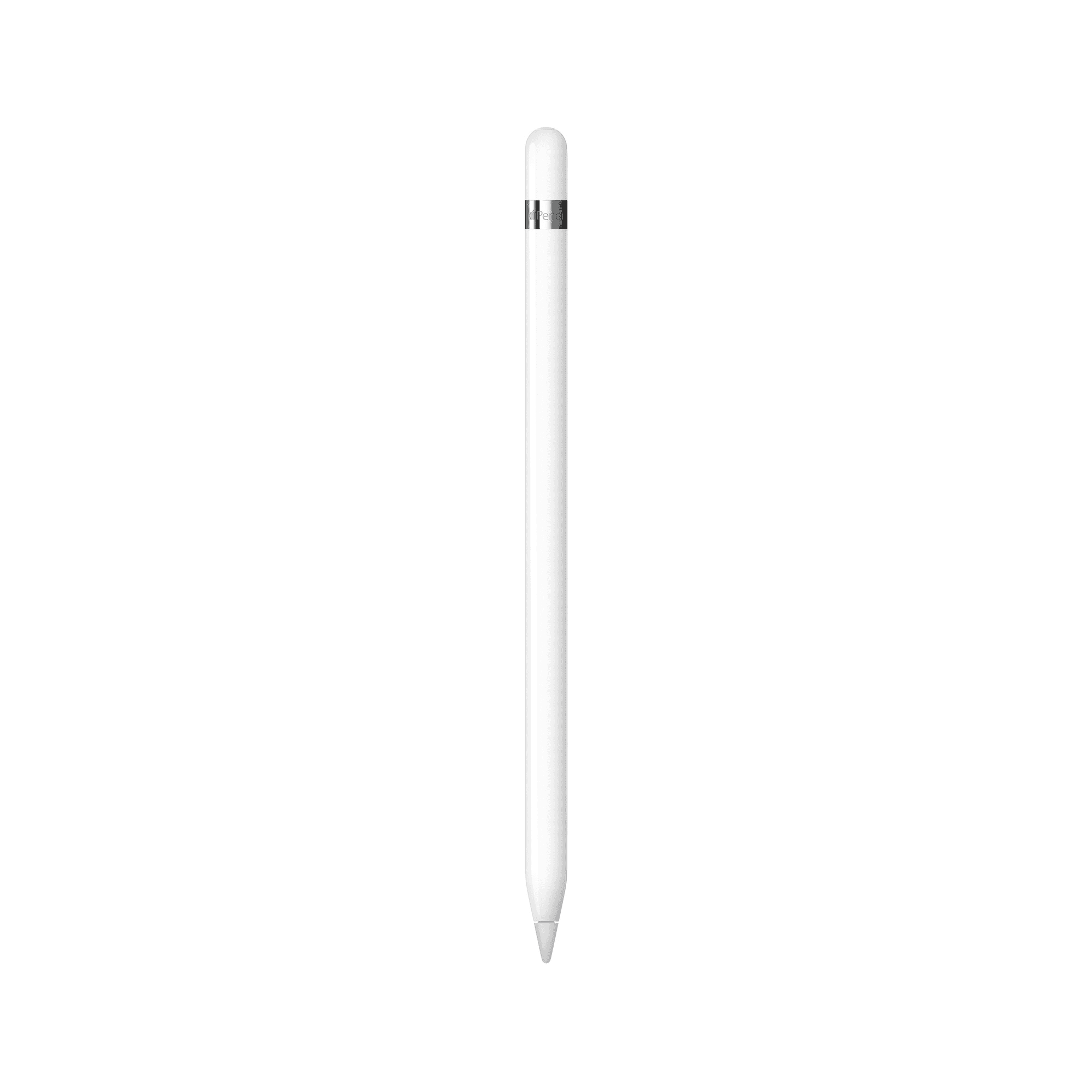 Apple Pencil 애플펜슬 1세대 가격 추이 애플 공식 브랜드스토어 Apple Pencil 애플펜슬 1세대 - 최저가 146,020원
