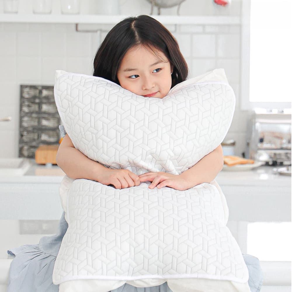 시온 듀라론 베개커버 쿨 50x70 가격 추이 S:ON 시온 듀라론 베개커버 쿨 50x70 - 최저가 4,900원