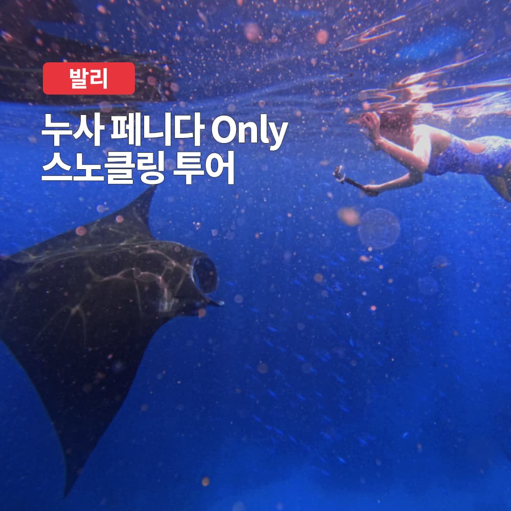 누사페니다투어 발리 스노클링 만타가오리 크리스탈베이 보트투어 가격 추이 여행하기 좋은날 누사페니다투어 발리 스노클링 만타가오리 크리스탈베이 보트투어 - 최저가 78,370원