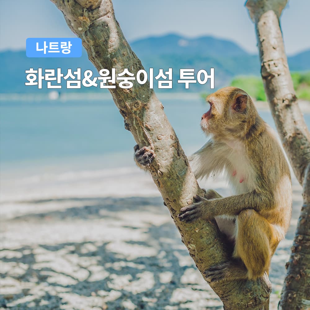 나트랑 화란섬 원숭이섬 투어 스피드보트 동물원 픽업샌딩포함 가격 추이 여행하기 좋은날 나트랑 화란섬 원숭이섬 투어 스피드보트 동물원 픽업샌딩포함 - 최저가 29,900원