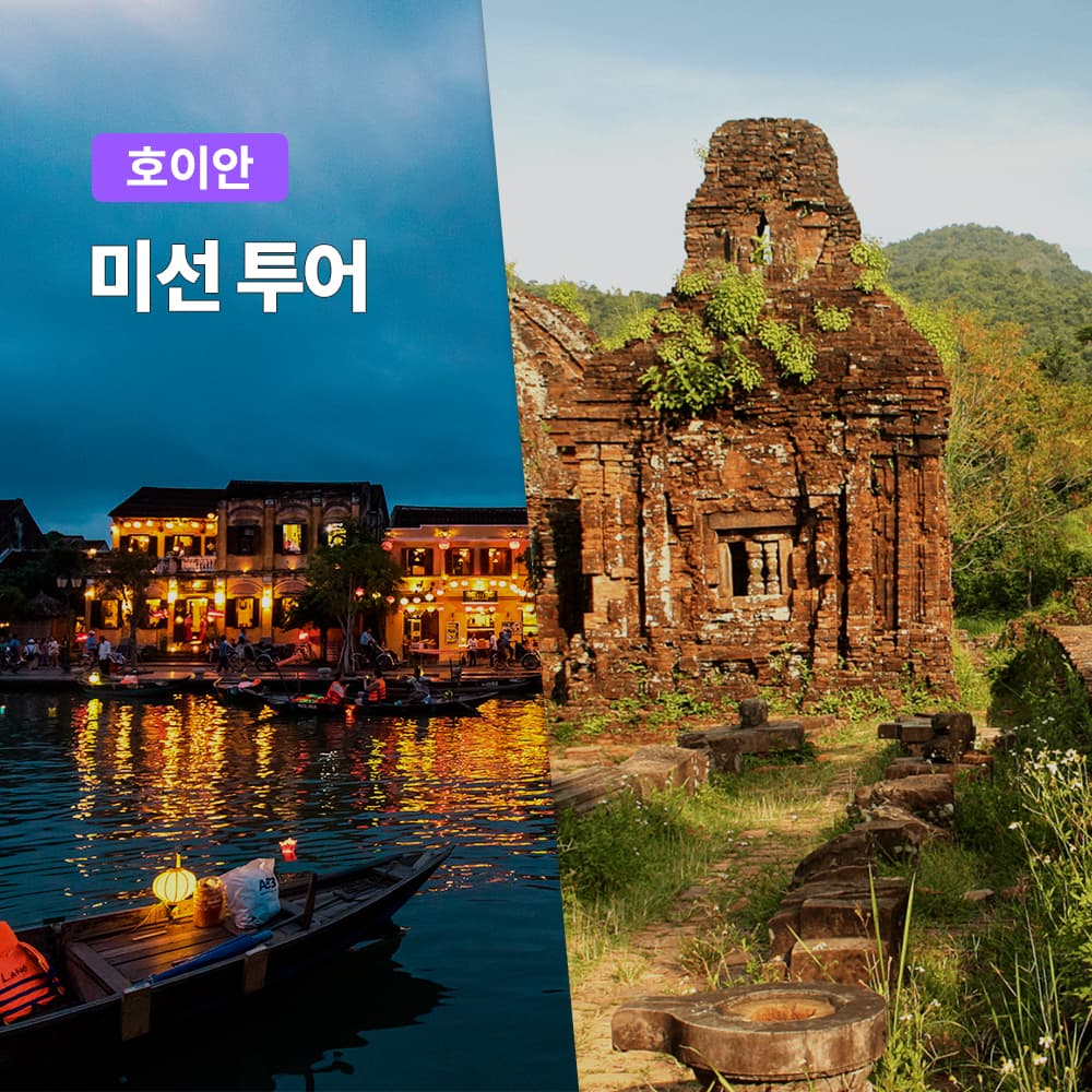 다낭 호이안 미선 투어 미선유적지 일일투어 한국어가이드 올드타운 소원배 야시장 가격 추이 여행하기 좋은날 다낭 호이안 미선 투어 미선유적지 일일투어 한국어가이드 올드타운 소원배 야시장 - 최저가 49,900원