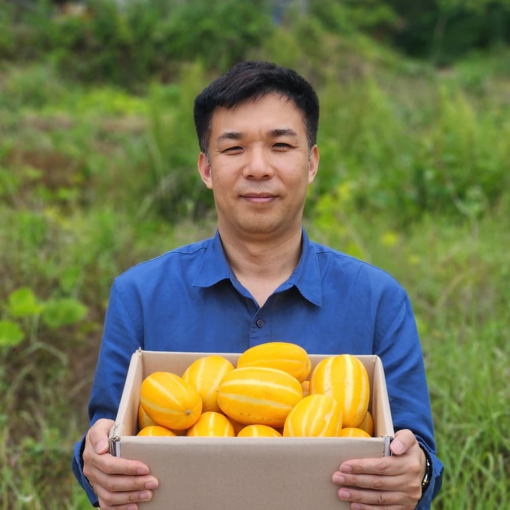 성주 꿀 참외 고당도 가격 추이 일등푸드 성주 꿀 참외 고당도 - 최저가 16,900원