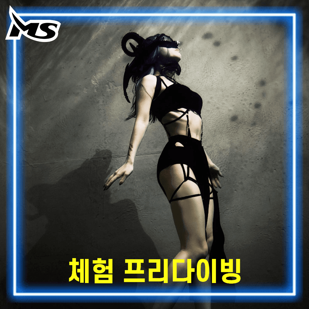 체험 프리다이빙 서울 인천 강습 입문 교육 가격 추이 MS다이빙풀 체험 프리다이빙 서울 인천 강습 입문 교육 - 최저가 10,000원