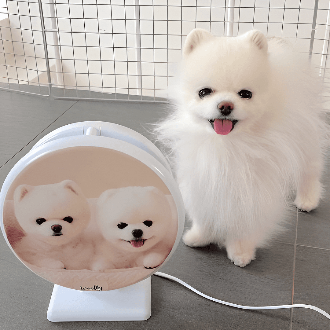 스카이원 스카이제로 미니 가정용 포충기 가격 비교 스카이원 스카이원 스카이제로 미니 가정용 포충기