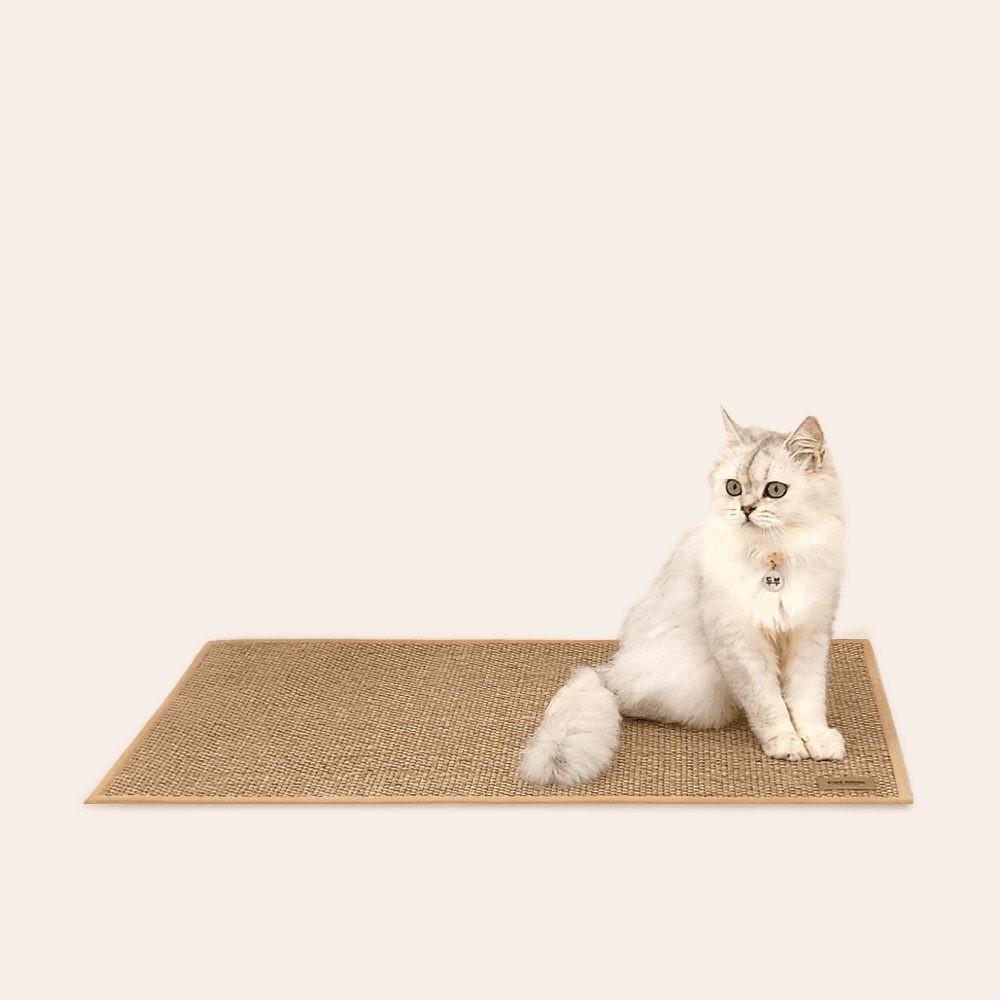 고양이 안식처 캣나인 이너무바 반영구 스크래쳐 카페트 매트타입 플랫형 가격 추이 캣나인 고양이 안식처 캣나인 이너무바 반영구 스크래쳐 카페트 매트타입 플랫형 - 최저가 29,820원