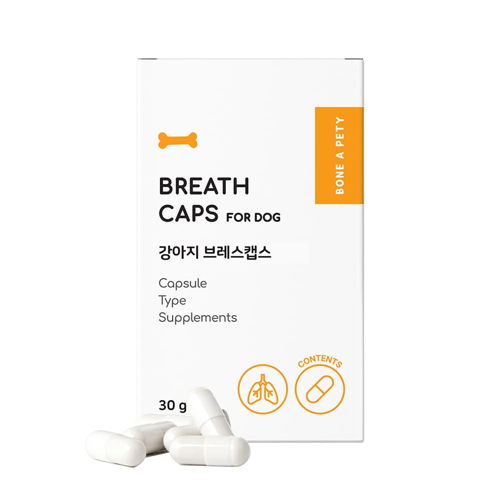 본아페티 강아지 캡슐 영양제 호흡+기관지 60캡슐 가격 추이 본아페티 본아페티 강아지 캡슐 영양제 호흡+기관지 60캡슐 - 최저가 23,900원