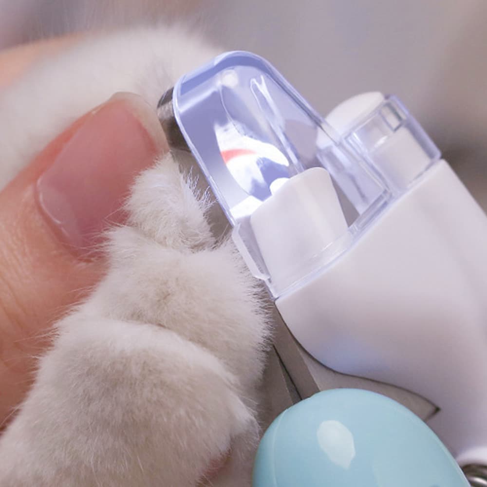 모노치 LED 세이프 강아지발톱깎이 고양이손톱깍이 가격 추이 모노치 모노치 LED 세이프 강아지발톱깎이 고양이손톱깍이 - 최저가 9,100원