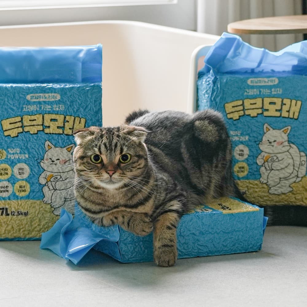 고양이 두부모래 가는입자 7L 5개입 무향 가격 추이 멍냥이 노리터 고양이 두부모래 가는입자 7L 5개입 무향 - 최저가 16,700원