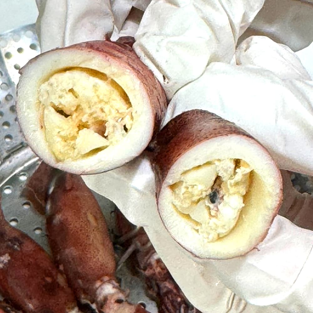 파인밀 제철 급냉 통찜용 총알한치 초코 오징어 500g 가격 비교 파인밀 파인밀 제철 급냉 통찜용 총알한치 초코 오징어 500g