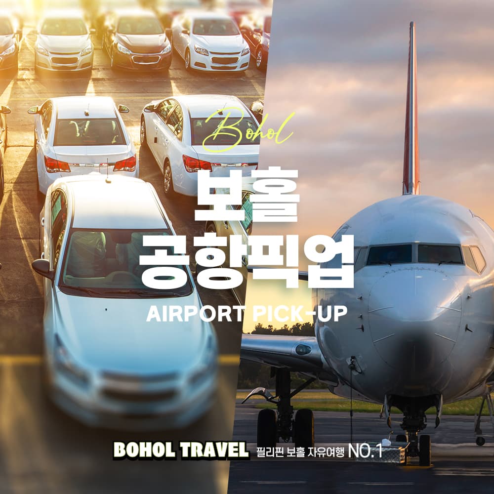 보홀트래블 팡라오 공항 숙소 픽업 서비스 택시 가격 추이 두잇트래블 보홀트래블 팡라오 공항 숙소 픽업 서비스 택시 - 최저가 3,900원