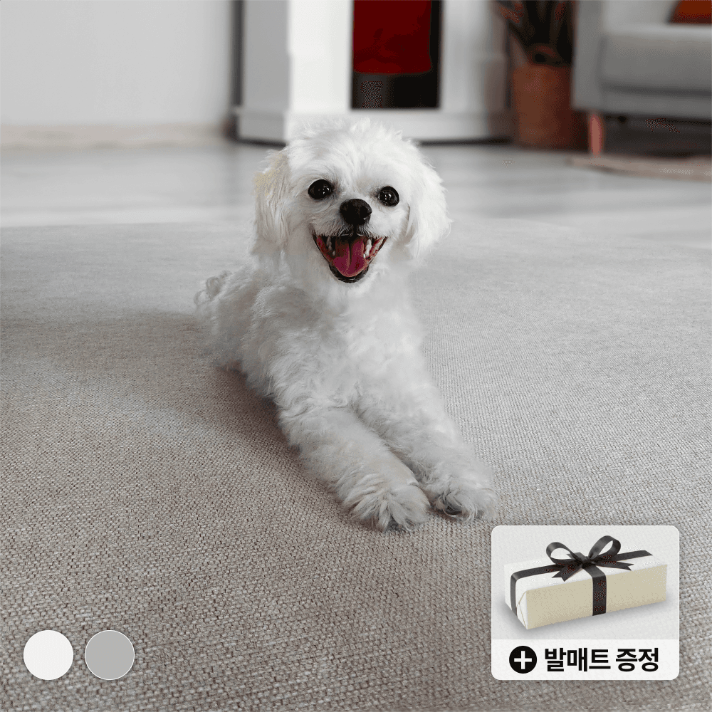 펫러그 강아지러그 미끄럼방지매트 펫카페트 펫매트 170x230 가격 추이 러디브 펫러그 강아지러그 미끄럼방지매트 펫카페트 펫매트 170x230 - 최저가 100,900원