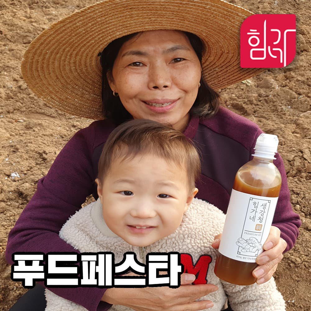 힘가네 생강청 생강차 수제 원액 600g 가격 추이 힘가네 힘가네 생강청 생강차 수제 원액 600g - 최저가 26,800원