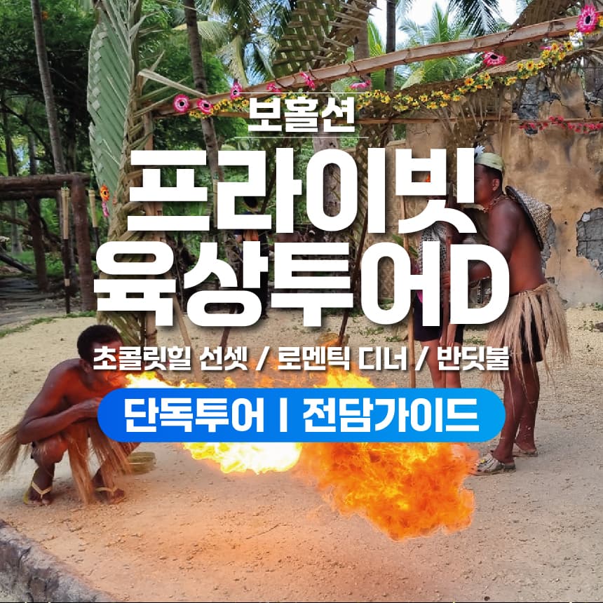 보홀 자유여행 프라이빗 육상투어 반딧불투어 초콜릿힐 선셋 럭셔리 디너 가격 비교 보라카이션 보홀 자유여행 프라이빗 육상투어 반딧불투어 초콜릿힐 선셋 럭셔리 디너
