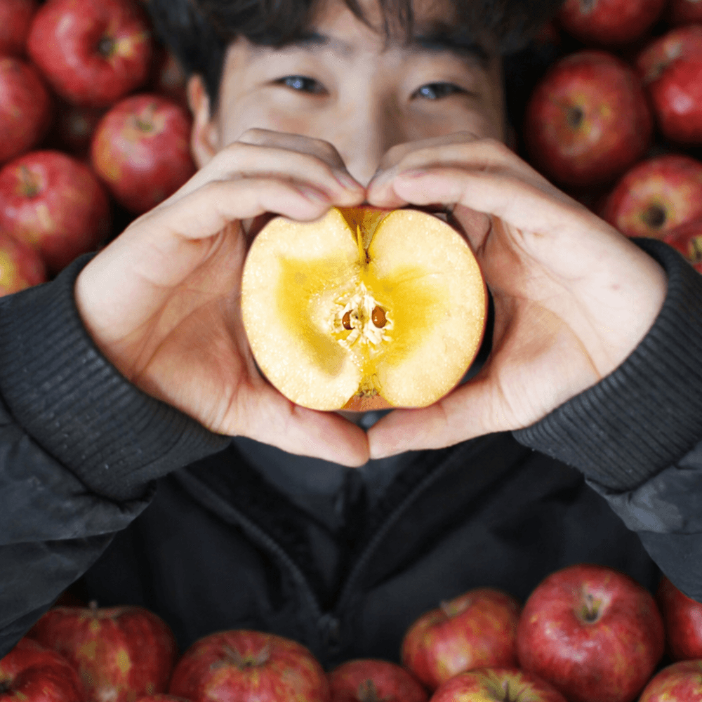 사과 청송 부사 꿀사과 당도선별 3kg 5kg 가격 추이 온거로 먹는 청송꿀땡이사과 사과 청송 부사 꿀사과 당도선별 3kg 5kg - 최저가 49,900원