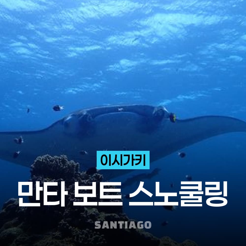 오키나와 이시가키 만타 바다거북 보트 스노쿨링 호핑투어 가격 비교 나트랑 산티아고투어 오키나와 이시가키 만타 바다거북 보트 스노쿨링 호핑투어