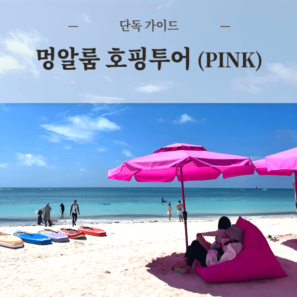 코타키나발루 멍알룸 섬 호핑투어 가이드 스노클링 프리다이빙 가격 추이 리보투어 코타키나발루 멍알룸 섬 호핑투어 가이드 스노클링 프리다이빙 - 최저가 114,000원