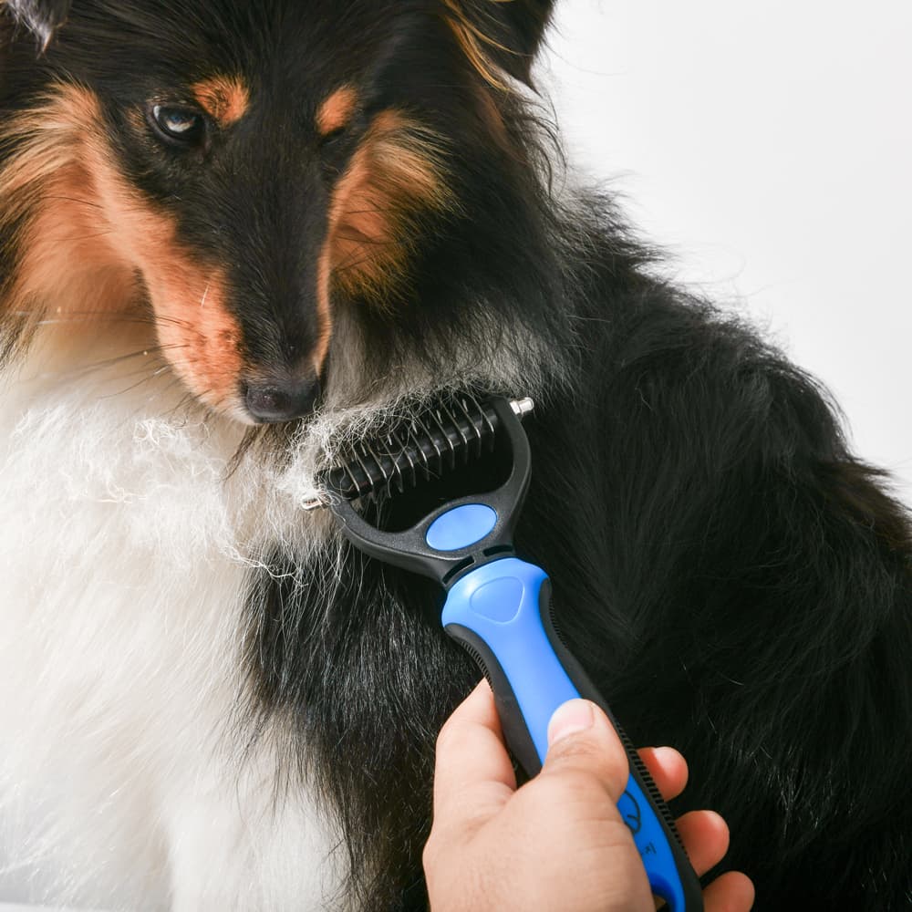 강아지 고양이 대형견 털 빗 죽은털 제거 털갈이 브러쉬 S 가격 비교 큰강아지 강아지 고양이 대형견 털 빗 죽은털 제거 털갈이 브러쉬 S