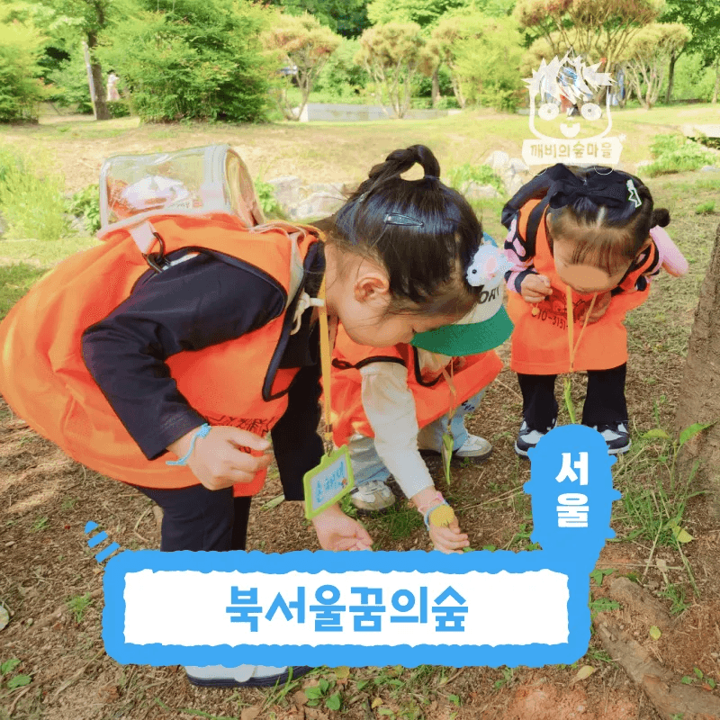 서울 강북구 숲체험 어린이 여름 자연 곤충 체험 학습 가격 추이 아이고고 서울 강북구 숲체험 어린이 여름 자연 곤충 체험 학습 - 최저가 35,000원