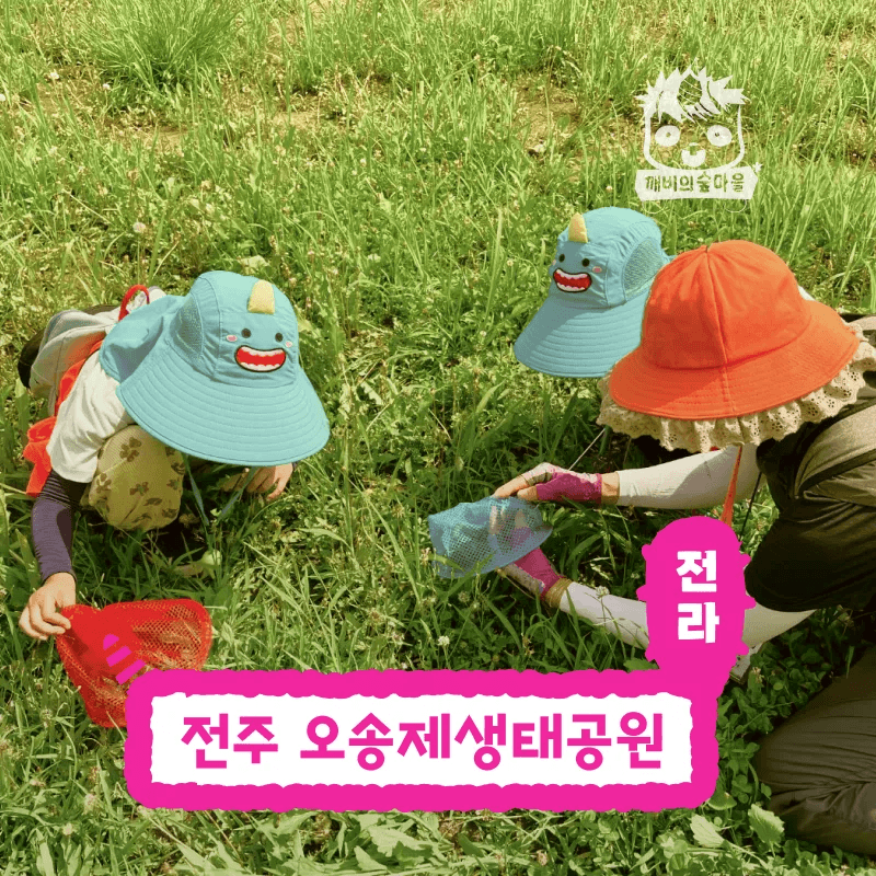 전주 오송제생태공원 숲체험 어린이 자연 곤충 학습 가격 추이 아이고고 전주 오송제생태공원 숲체험 어린이 자연 곤충 학습 - 최저가 35,000원