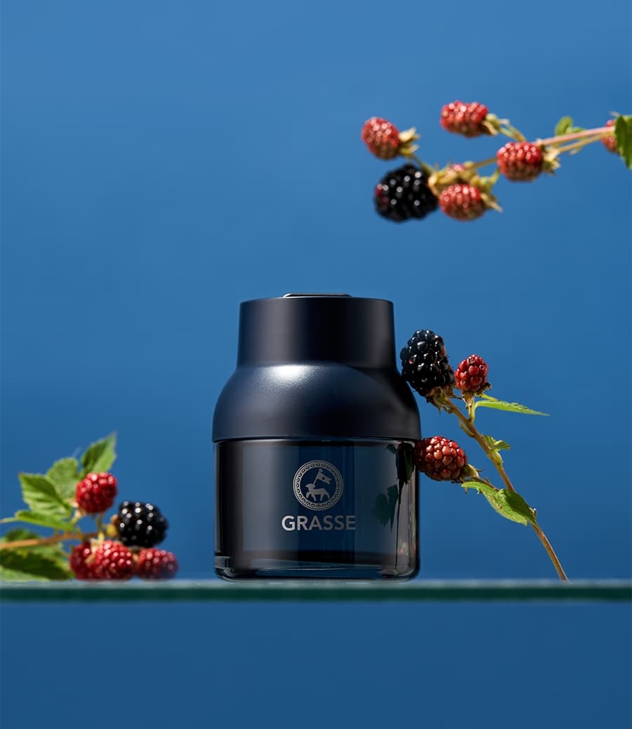 불스원 그라스 디퓨저 블루 차량용 방향제 90ml 블랙베리 가격 추이 Bullsone공식몰 불스원 그라스 디퓨저 블루 차량용 방향제 90ml 블랙베리 - 최저가 14,900원