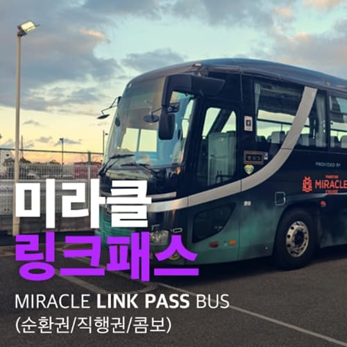 일본 대마도 버스투어 히타카츠 순환 이즈하라 직행 미라클 링크패스 순환 버스 예약 가격 비교 일본만 일본 대마도 버스투어 히타카츠 순환 이즈하라 직행 미라클 링크패스 순환 버스 예약