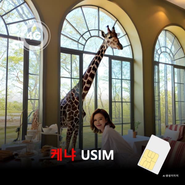 케냐 유심 USIM 데이터 전용 무제한 가격 추이 뜨거운청춘 케냐 유심 USIM 데이터 전용 무제한 - 최저가 4,470원