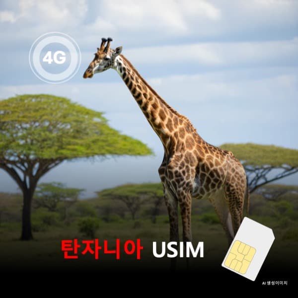 탄자니아 유심 USIM 데이터 전용 무제한 이심통 가격 비교 뜨거운청춘 탄자니아 유심 USIM 데이터 전용 무제한 이심통