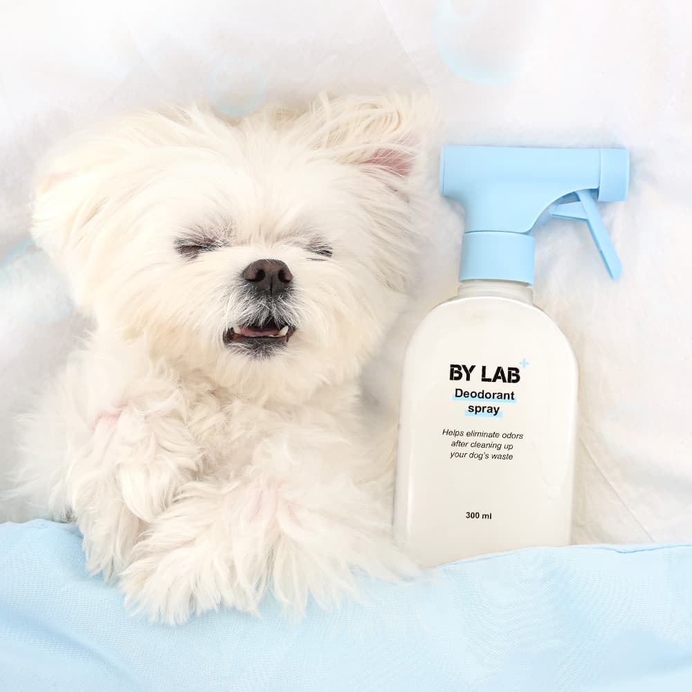 바이랩 강아지 냄새 제거 미생물 탈취제 300ml, 1개 가격 추이 BYLAB 바이랩 강아지 냄새 제거 미생물 탈취제 300ml, 1개 - 최저가 19,800원