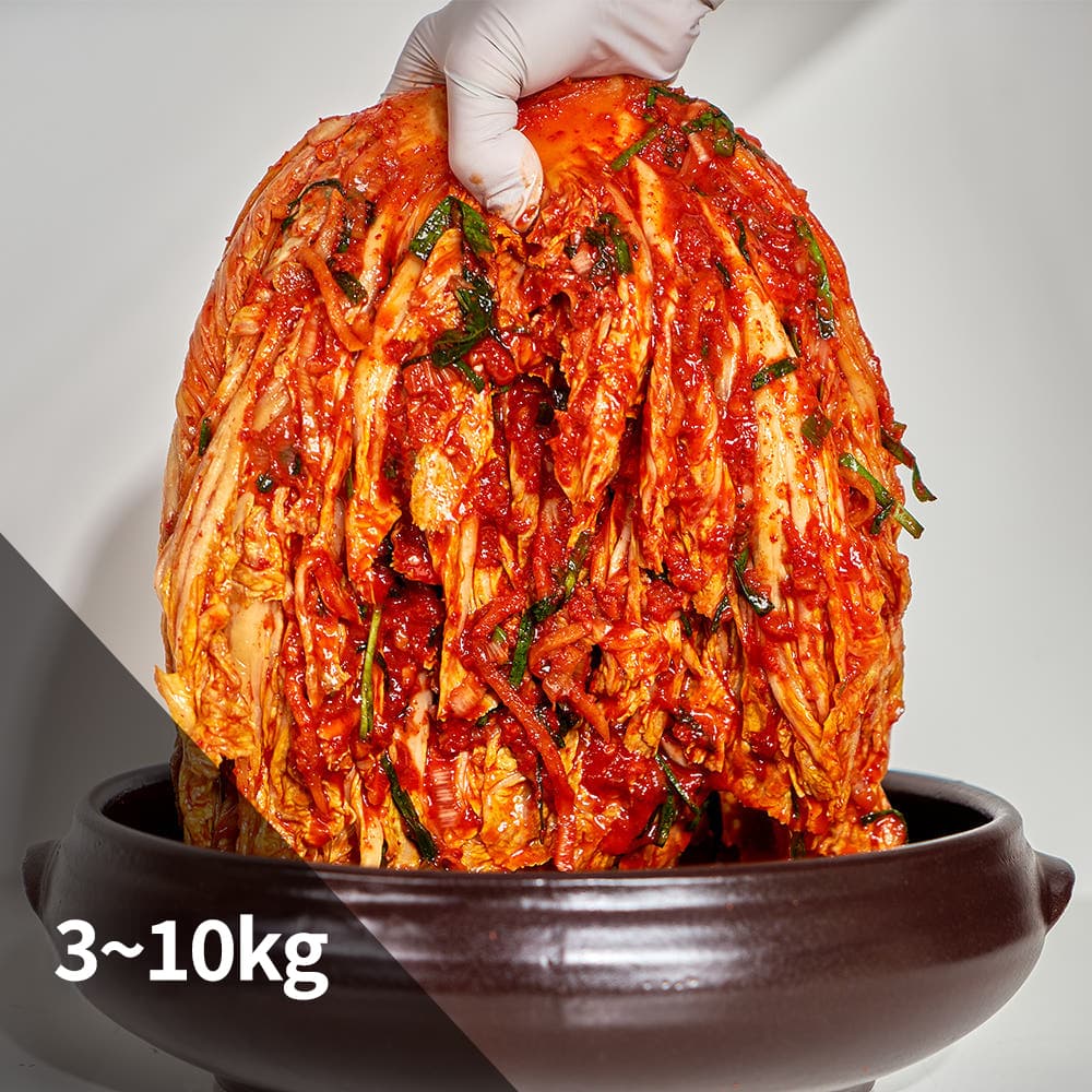 플래노프 서울 중부식 프리미엄 포기김치 가격 추이 플래노프 플래노프 서울 중부식 프리미엄 포기김치 - 최저가 42,000원