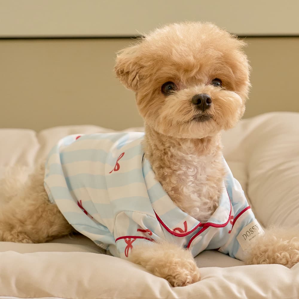 실크핏 보니 펫 잠옷 반려동물 강아지 고양이 파자마 가격 추이 DOSSY 실크핏 보니 펫 잠옷 반려동물 강아지 고양이 파자마 - 최저가 19,900원