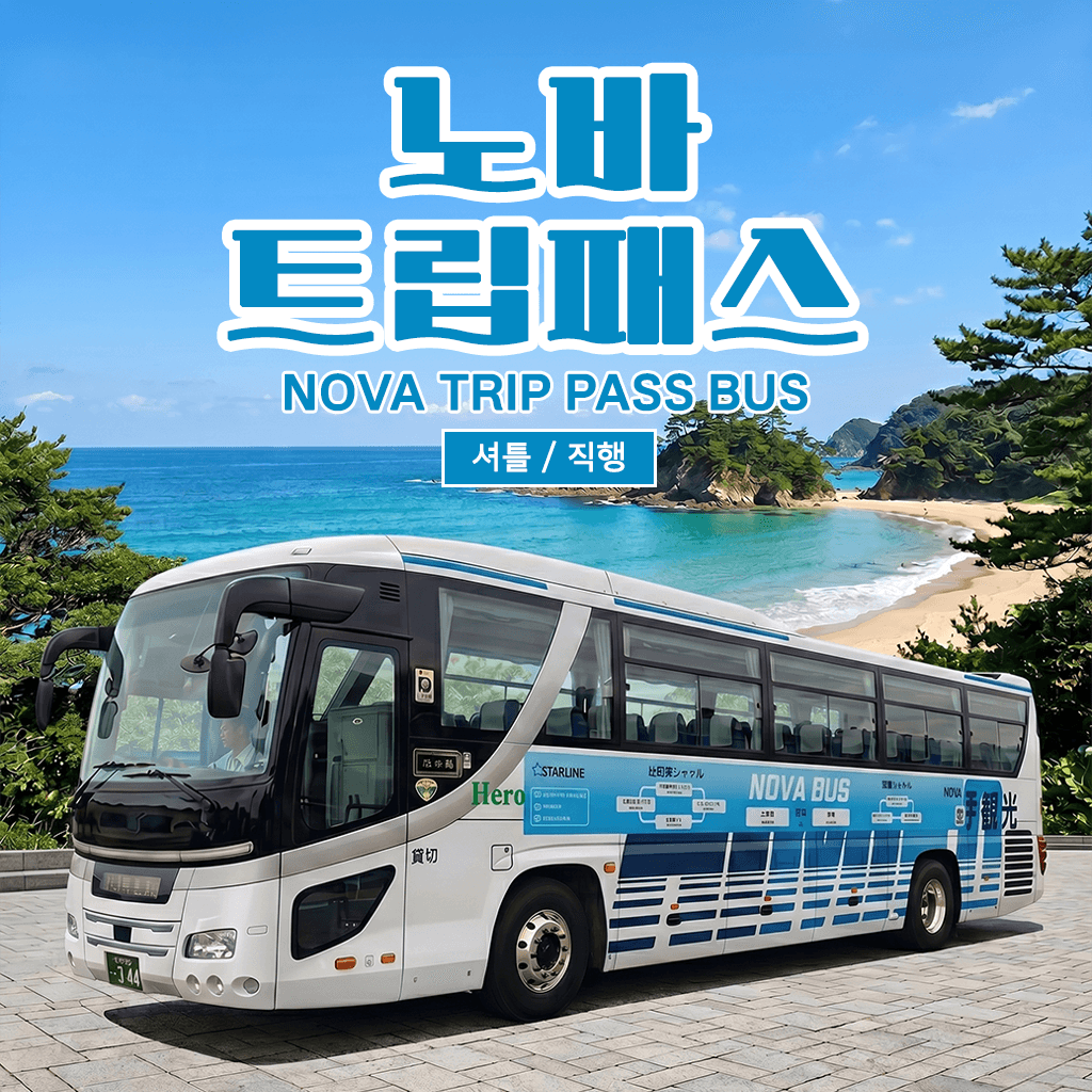 노바호 대마도 버스투어 셔틀 직행 버스 가격 추이 대마도 여행 노바호 대마도 버스투어 셔틀 직행 버스 - 최저가 18,000원