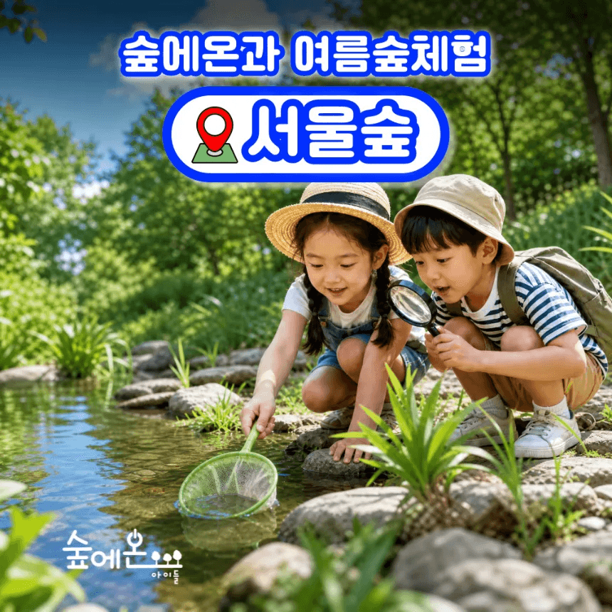숲에온아이들 서울숲 어린이 여름 숲체험 가격 추이 아이고고 숲에온아이들 서울숲 어린이 여름 숲체험 - 최저가 35,000원