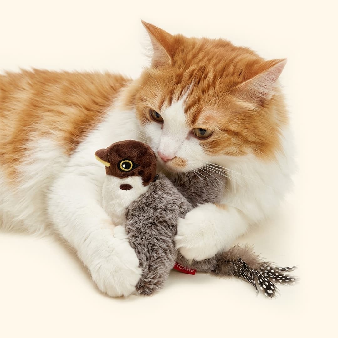 펫케어 고양이 자동 새 장난감 움직이는 춤추는새 참새 가격 추이 펫긱 PETGEEK 펫케어 고양이 자동 새 장난감 움직이는 춤추는새 참새 - 최저가 27,000원
