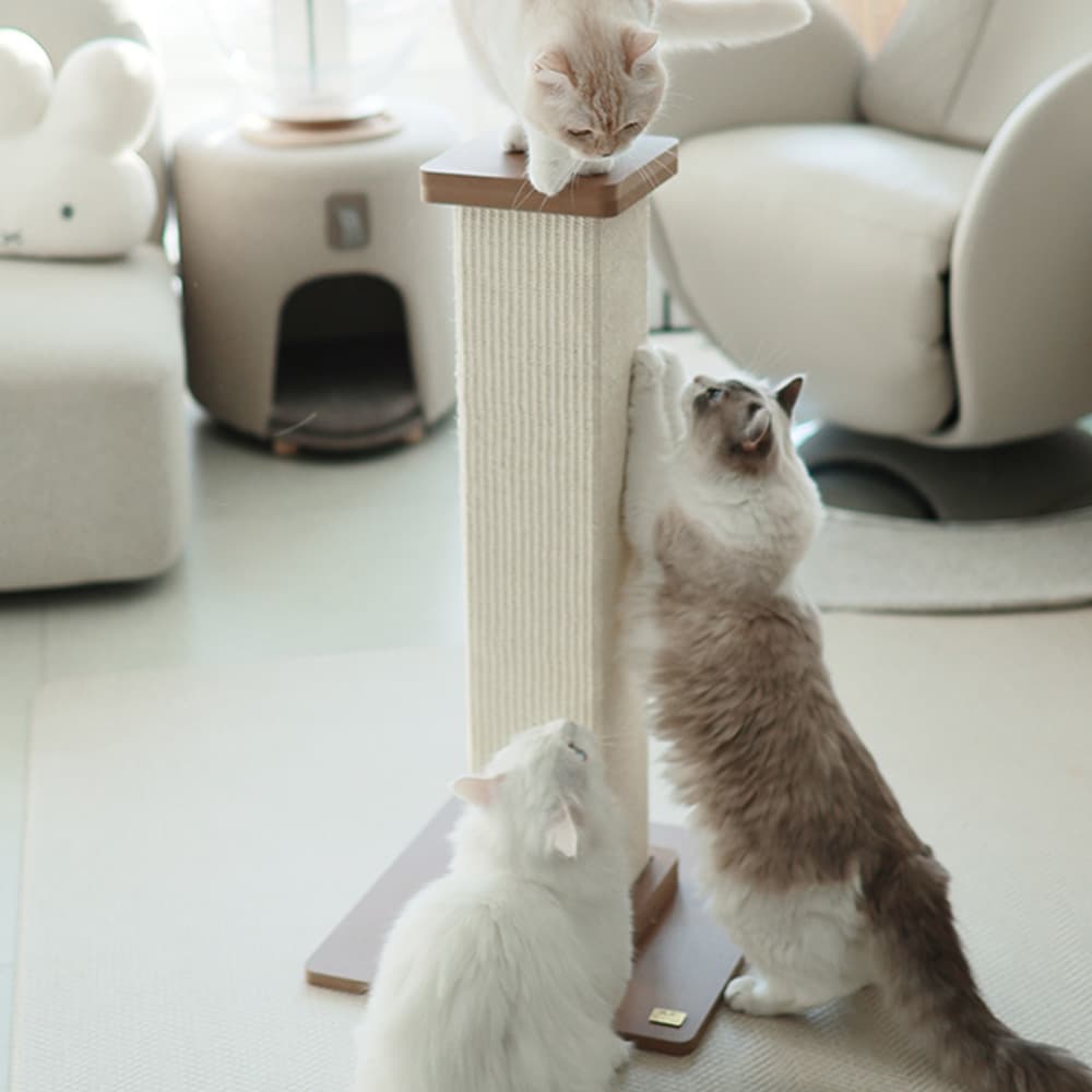 아토주 파우제 대형 80cm 수직 기둥 고양이 스크래쳐 가격 비교 아토주 아토주 파우제 대형 80cm 수직 기둥 고양이 스크래쳐