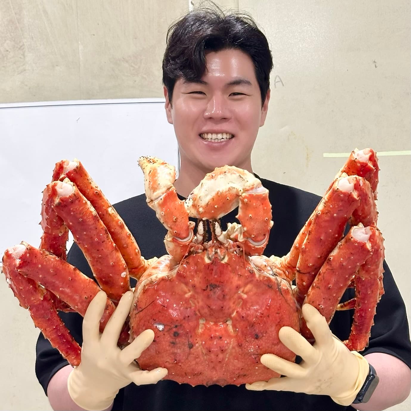 프리미엄 킹크랩 1마리 선어 자숙 러시아 브라운 레드 가격 추이 영앤피쉬 프리미엄 킹크랩 1마리 선어 자숙 러시아 브라운 레드 - 최저가 127,800원