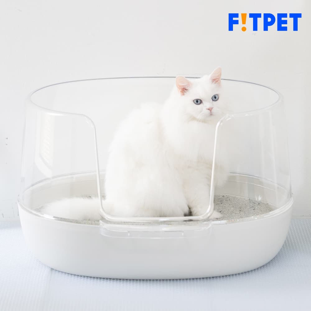 냥쌤 고양이 화장실 투명 대형 다묘 오픈형 배변통 사막화방지 가격 비교 핏펫 냥쌤 고양이 화장실 투명 대형 다묘 오픈형 배변통 사막화방지