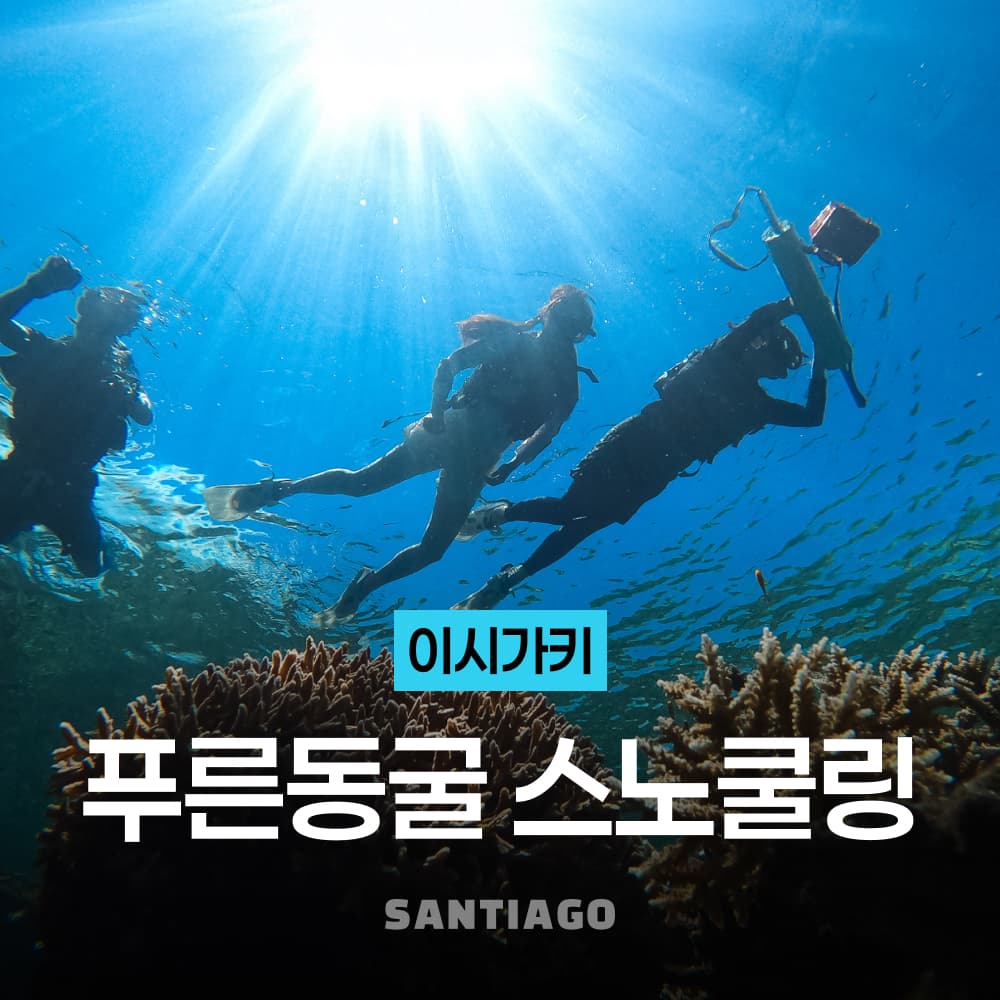 오키나와 이시가키 섬 바다 거북이 푸른동굴 스노클링 호핑투어 가격 비교 나트랑 산티아고투어 오키나와 이시가키 섬 바다 거북이 푸른동굴 스노클링 호핑투어