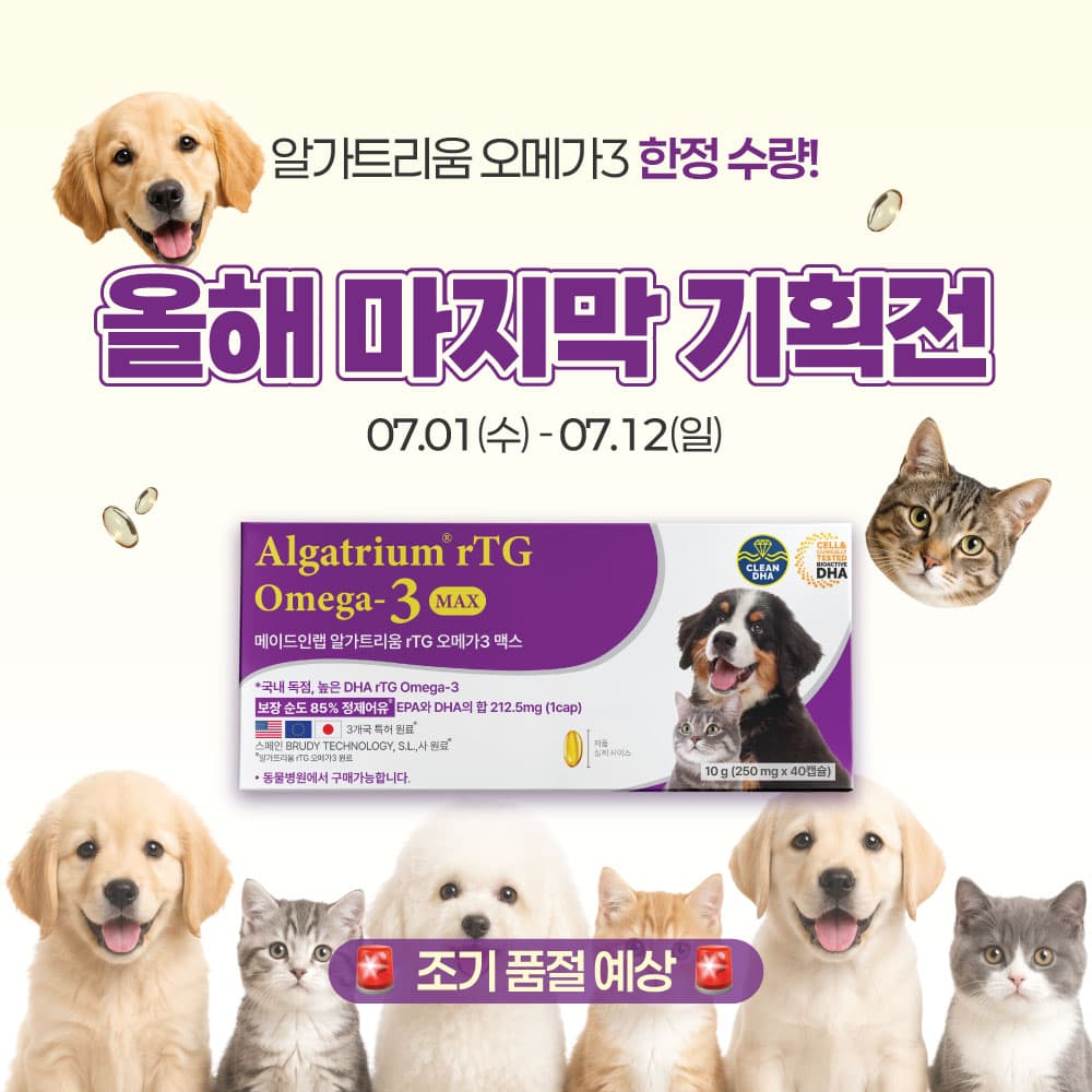 강아지 눈 영양제 DHA 메이드인랩 알가트리움 오메가3 40캡슐 가격 추이 메이드인랩 강아지 눈 영양제 DHA 메이드인랩 알가트리움 오메가3 40캡슐 - 최저가 35,000원